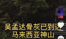 大马哈新闻爆料,揭秘行业黑幕，真相令人震惊！