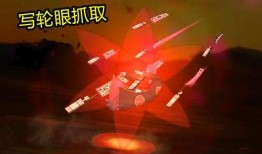 老鹰技能爆料视频,空中猎杀与智慧翱翔